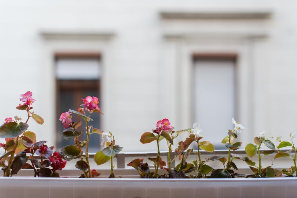 Appartement Downtown Synagogue *
